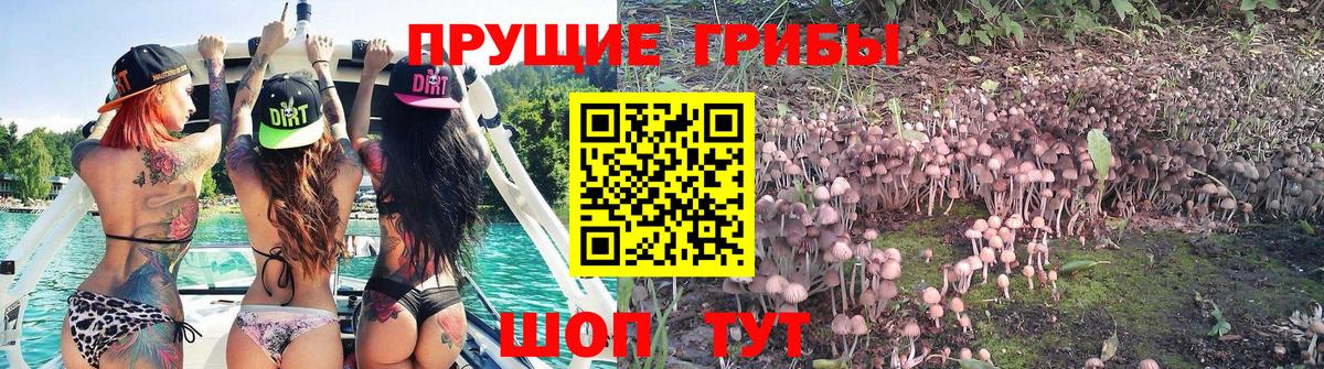 Куйбышев  КОКАИН  Конопля  Меф МЯУ МЯУ   Вход с VPN  ГАШ  НБОМе 