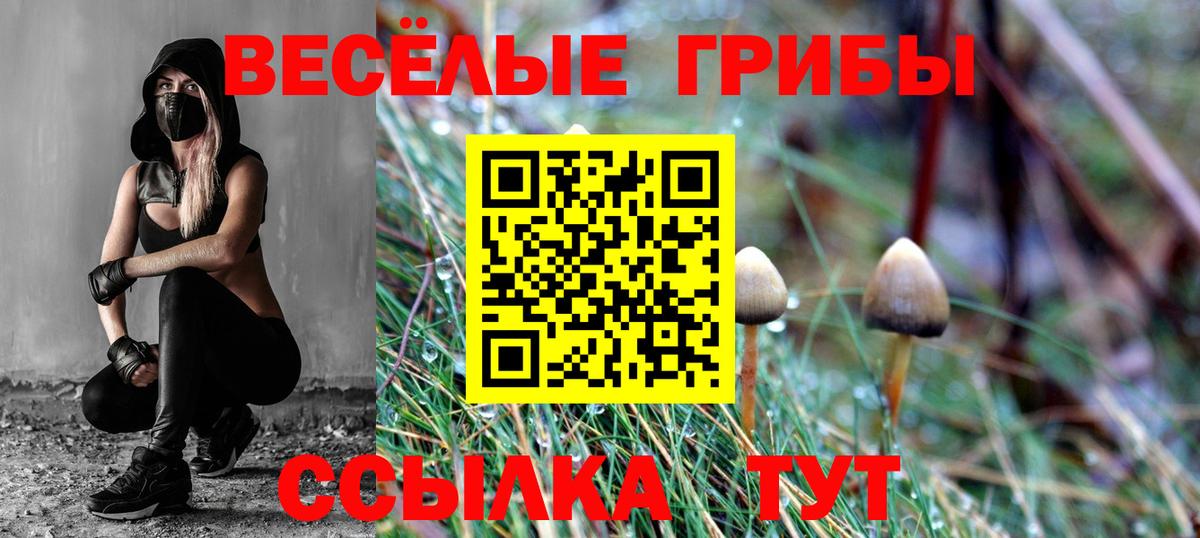 Псилоцибиновые грибы прущие грибы Куйбышев