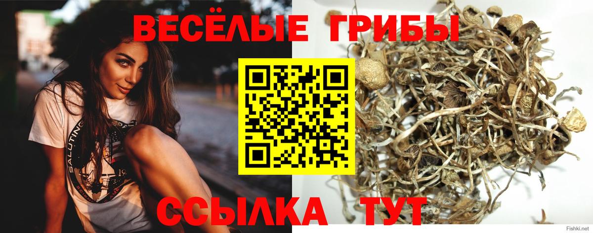 Псилоцибиновые грибы мицелий  Вход с VPN  Куйбышев 
